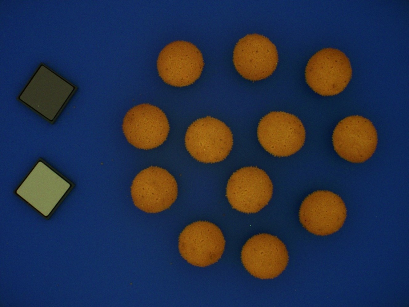 Geslaagde test koekjes bakken in microgolfoven